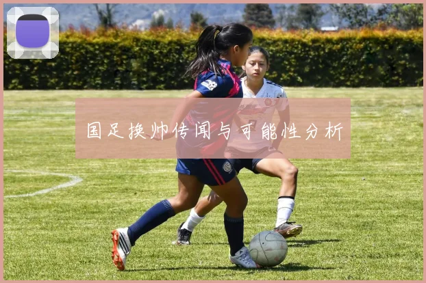 国足换帅传闻与可能性分析